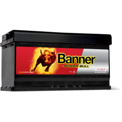Power Bull 12V 100Ah 820A P10040
